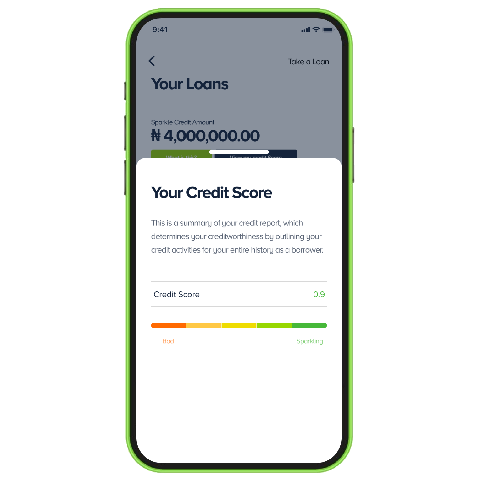 To get started: Open a Sparkle account, fund your account, and start carrying out transactions to increase your Loyalty Level and eligibility for Sparkle Loan.